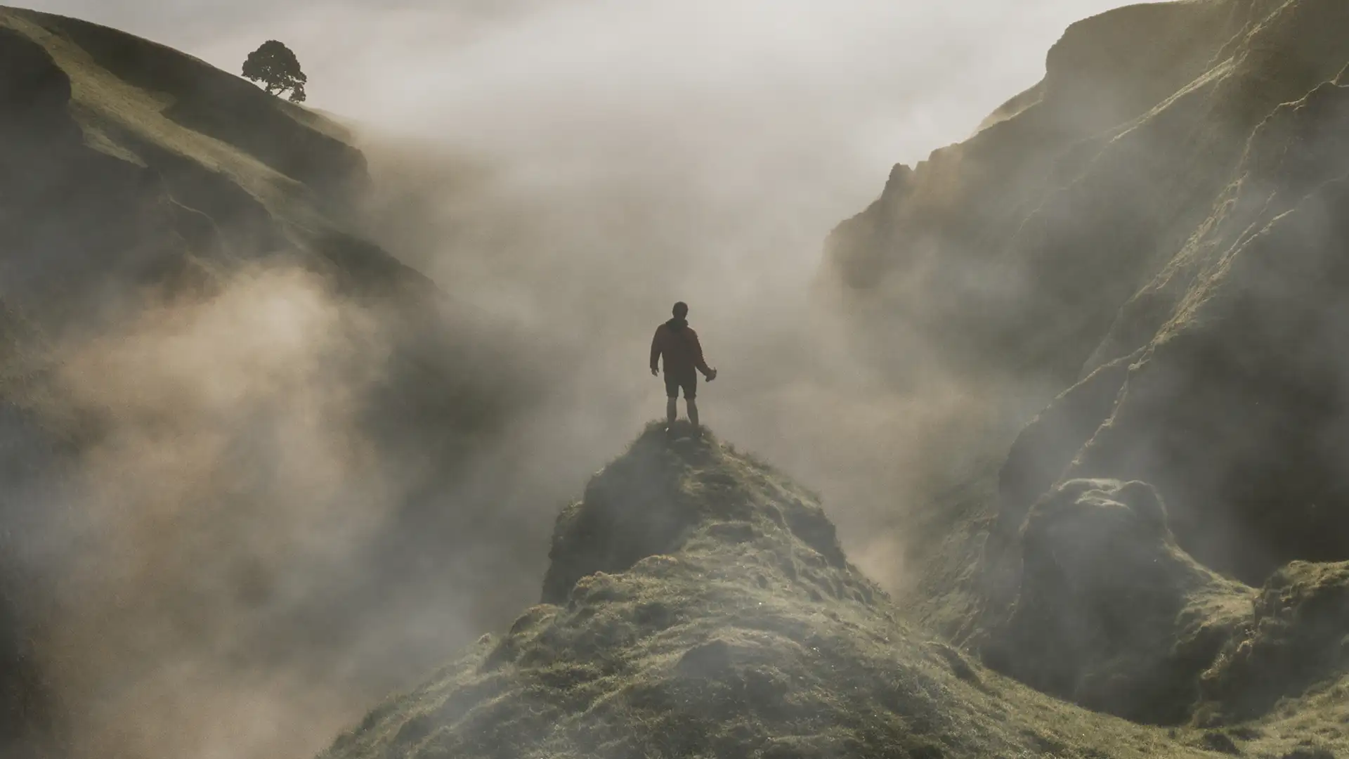 Resilify Solutions: human resilience